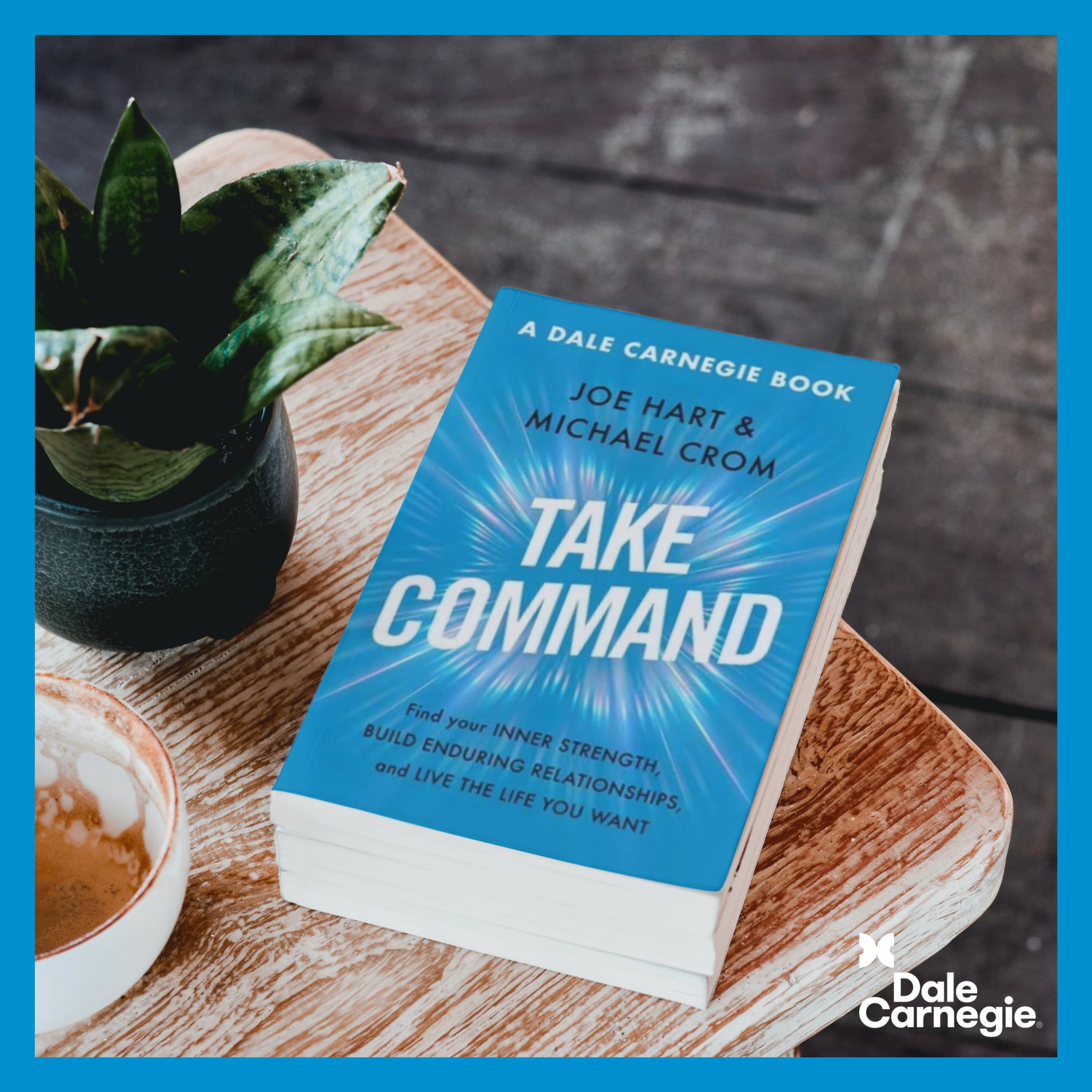 Take Command book